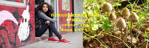 Альфа ПВП Бердск