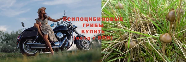 прущие крисы Медногорск