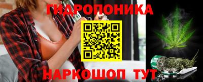 прущая мука Гатчина