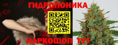 дмт Камышлов
