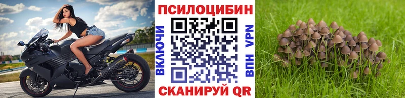 Псилоцибиновые грибы мухоморы  Копейск 