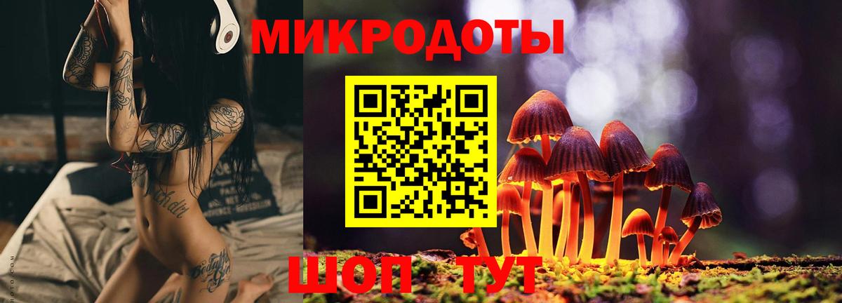 Галлюциногенные грибы Cubensis Копейск